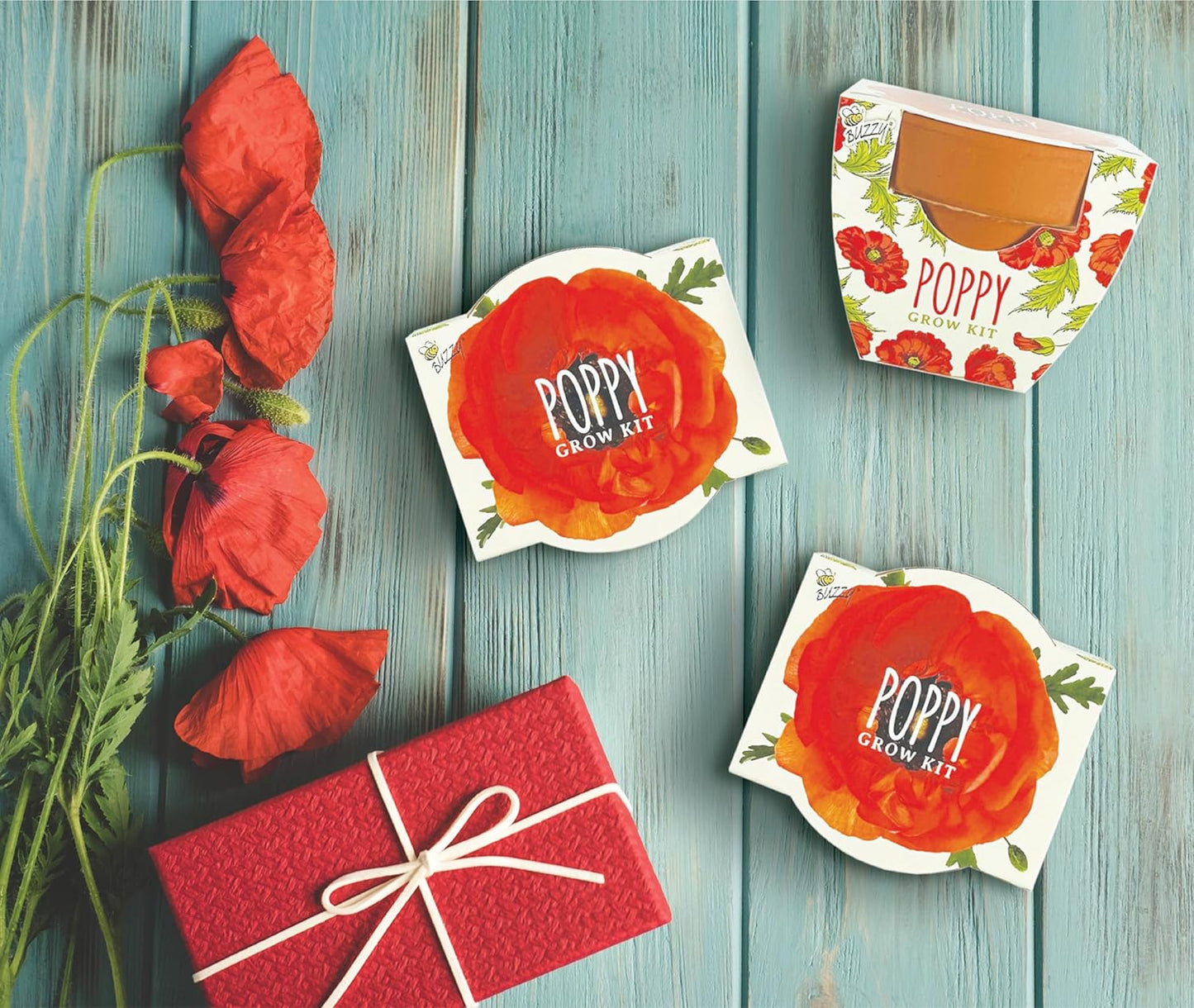 BUZZY Seeds 12-Pack Poppy Grow Kit – Mini Terracotta Pots with Poppy Seeds and Growing Medium – Bulk Gardening Gifts, Wedding Favors, Classroom Activities, and Party Favor Flower Kits