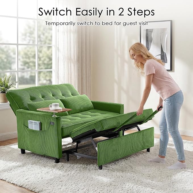 Sleeper Sofa Bed, Guest Room - Image 8