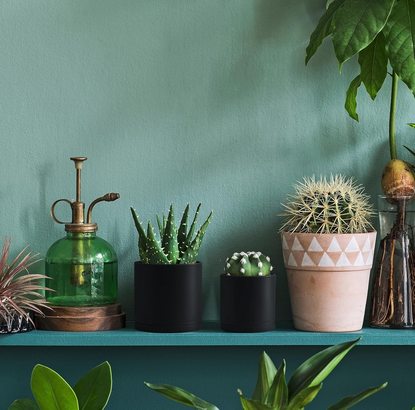 D'vine Dev 12 Pack 3.5 Inch Mini Plastic Plant Pots, Small Garden Planters for Plant with Drainage Holes and Saucers, Black Color, 74-Y-D-4