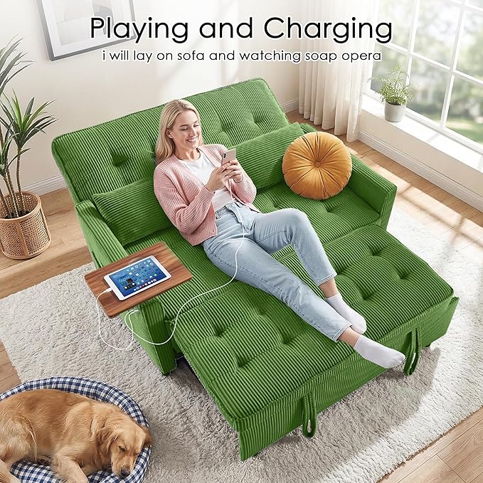 Sleeper Sofa Bed, Guest Room - Image 7