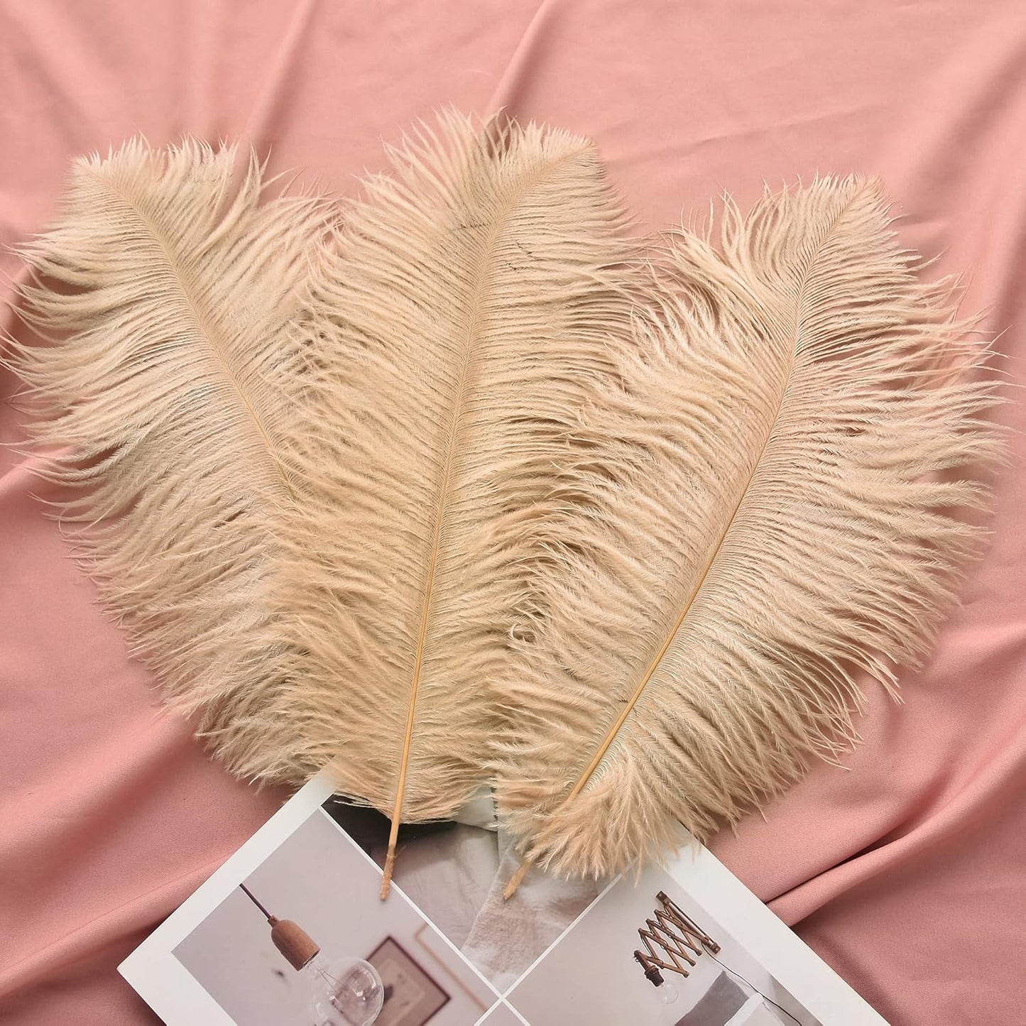 Ballinger Large Champagne Ostrich Feathers - 24pcs 12-14inch Boho Feathers for Vase and Home Decor Wedding Party Centerpieces