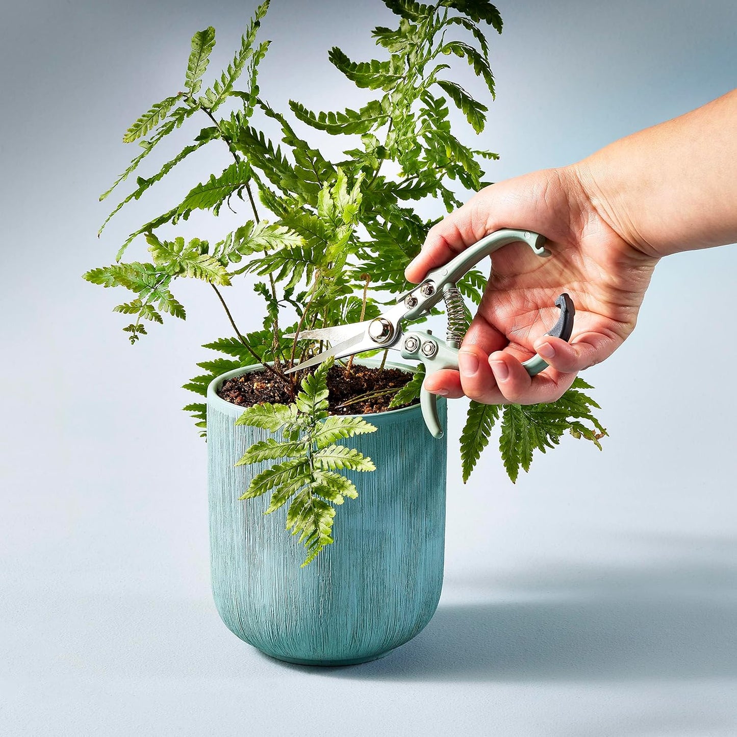 Modern Sprout Pruning Shears - Herb Snipping Scissors- Lightweight Gardening Tools W/Easy Lock - Flower Cutter Garden Shears - Carbon Steel Blade + Reusable Holster (Green, 1-Pack)