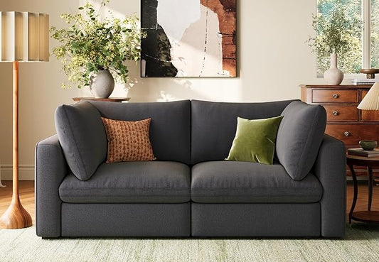 LINSY HOME Modern 2-Seater Sofa, Customizable Living Room Furniture by LINSYHOME