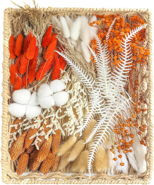 xin's convey DIY Autumn Natural Dried Flower Kit, Mini Stemming Bouquets for Room, Table, and Vase Decorations(Orange)